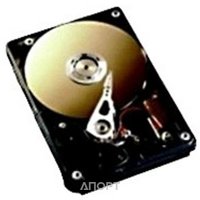 Фото Fujitsu S26361-F5241-L300 Фото Fujitsu S26361-F5241-L300