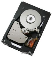Фото IBM 81Y9742 Фото IBM 81Y9742
